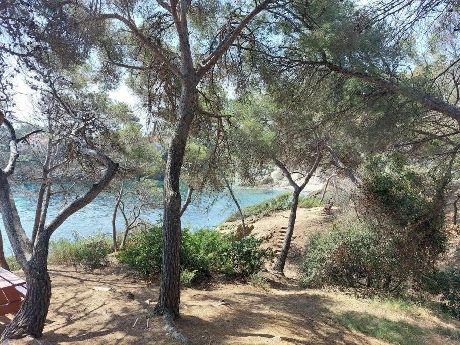 Charmant Mazet - Plage A Pied Saint-Peïre-sur-Mer Esterno foto